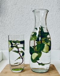 Glas und Karaffe mit Minz-Gurken-Wasser